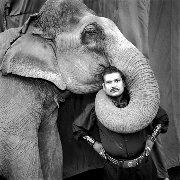 UN REGARD EN COULISSES. QUARANTE ANS DE PHOTOGRAPHIES DE PLATEAU, Mark Mary  Ellen pas cher 