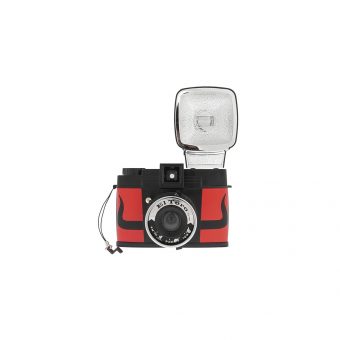 Diana-F+-El-Toro.png