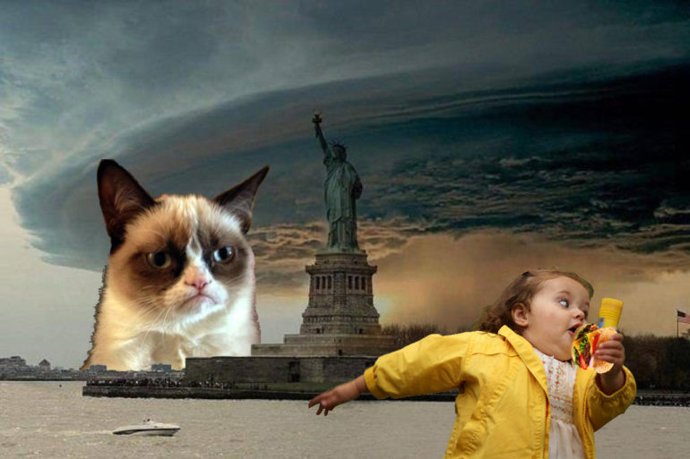 perfect-facebook-photo-grumpy-cat.jpg