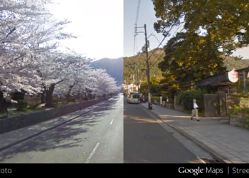 CherryBlossoms_Kyoto_Japan.png