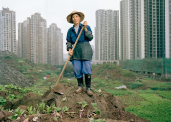 chongqing_urbanfarming-0061.jpg