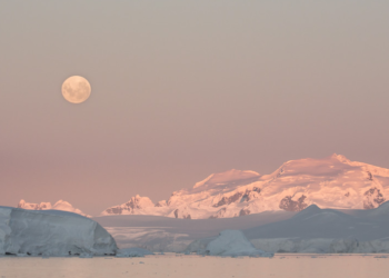 FireShot-Screen-Capture-032-Antarctica-Michele-Sons-Photography-www_michelesonsphotography_com_Website-Assets_Fine-Art_Landscapes_Antarctica_i-xHbBZVQ_A.png