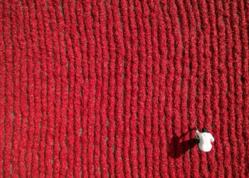 Red Chili Farmer, Guntur, India - © Aurobird