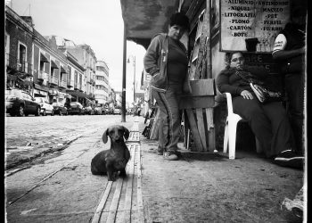 ©Clotilde_RICHALET_Dogs_Along_The_Road_2650