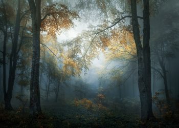 2347_4831_VeselinAtanasov_Bulgaria_Open_LandscapeNature2018Opencompetition_2018