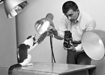 walter-chandoha-cats-photography-taschen-1