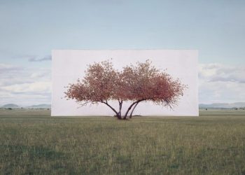 ignant-art-myoung-ho-lee-tree-2-720x450