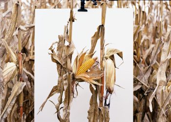 monsanto_exposition-van-buren-indiana-mathieu-asselin-2013-759x500