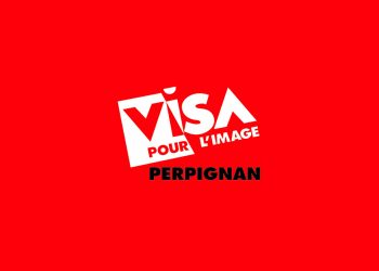 visa-pou-limage-