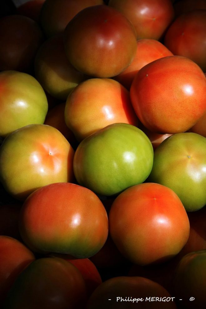 Philippe MERIGOT - Fruits - Légumes