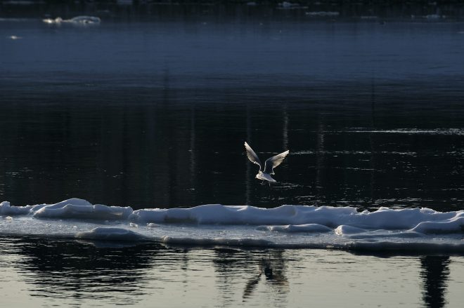 Cold landing