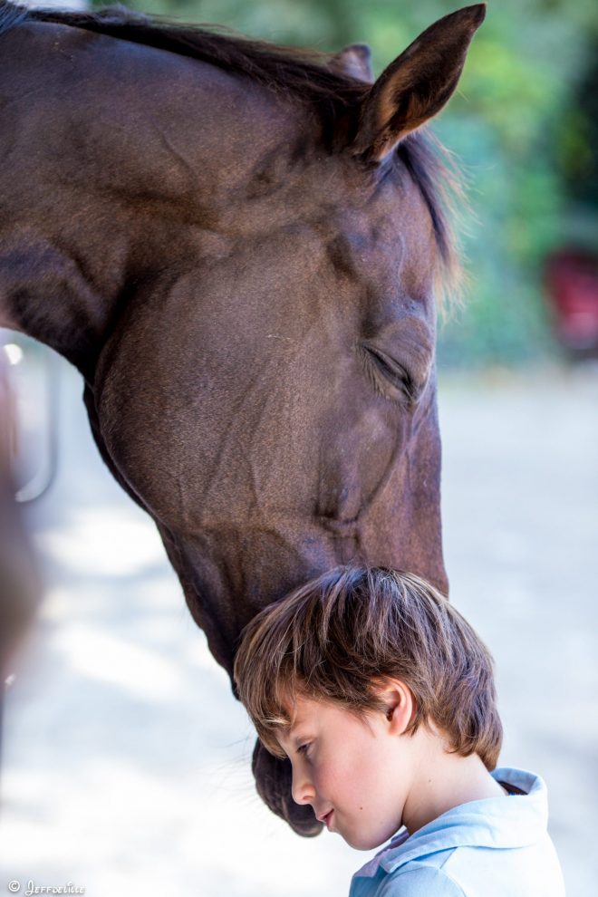 Le calin...