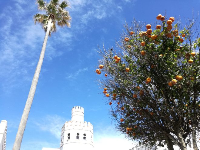 Look up to the sky Tarifa