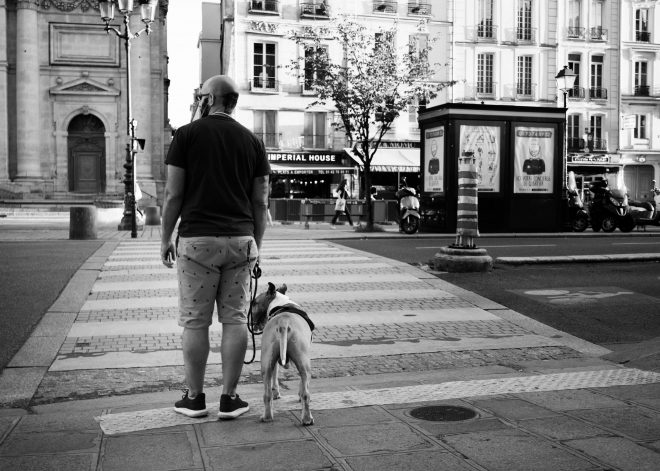 man&dog