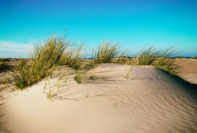 vague à l'âme