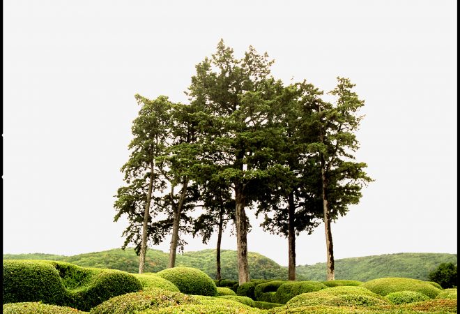 Jardin de Marqueyssac