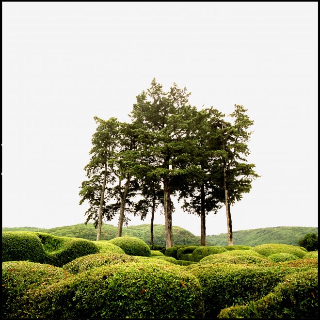 Jardin de Marqueyssac