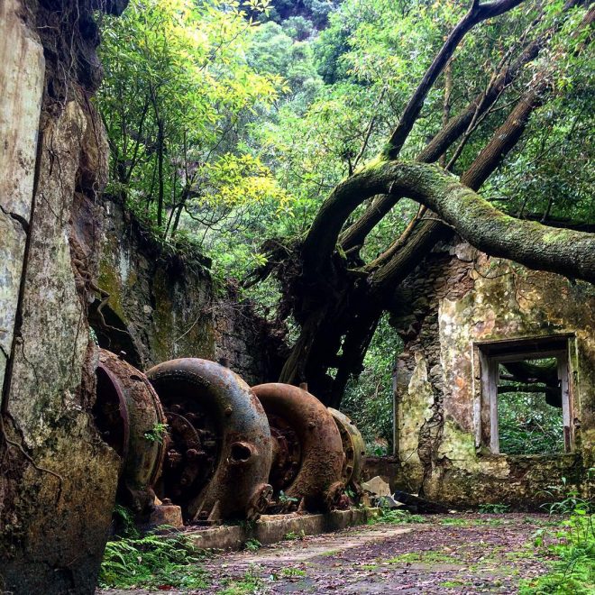 Naturalia - Les Açores