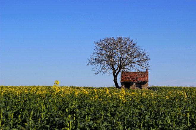 La p'tite maison dans le Berry