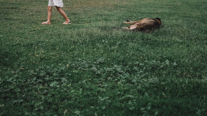 THE GIRL AND THE DOG