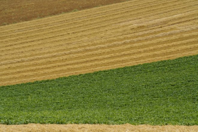 vers Châlons en champ