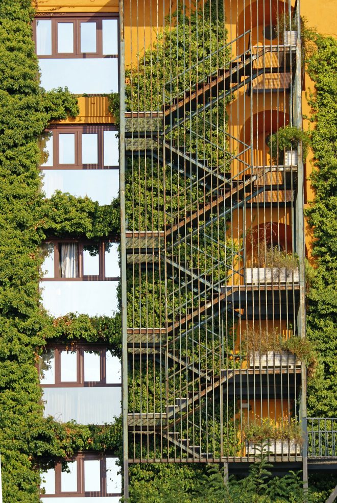 escalier vegetal