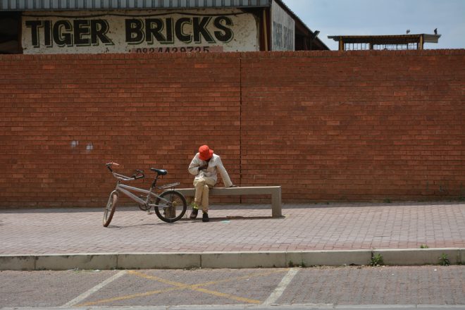 tiger bricks