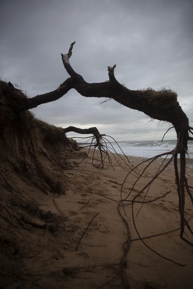 Erosion Oléron 2020