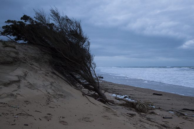 Erosion Oléron 2020