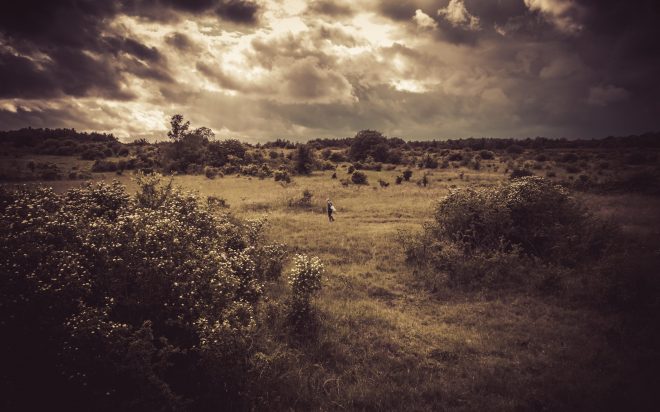 Le vagabond rêveur