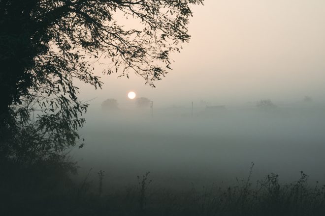 Des brumes & des rêves