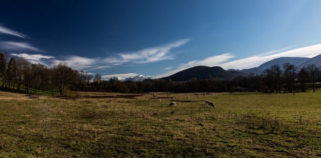 Bucolique à  souhait