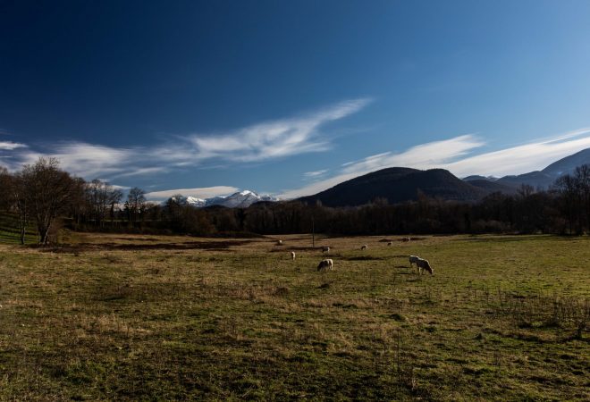 Bucolique à  souhait