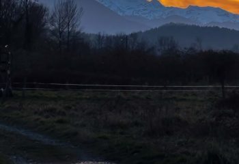 Le reflet
