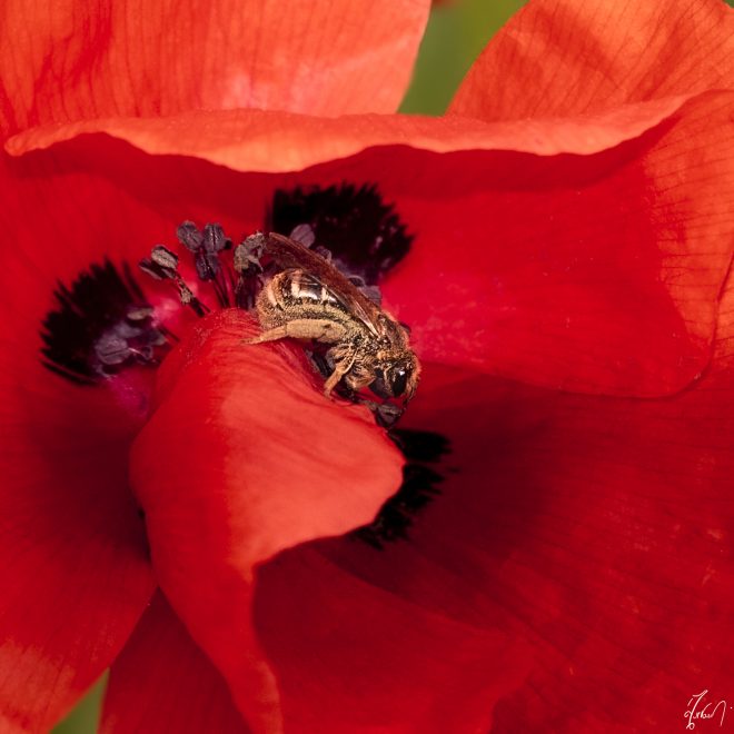 Elle voulait son profil sur Lense