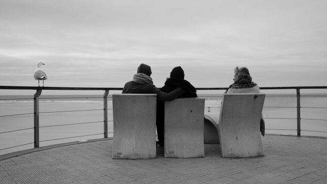 Le goéland s'intéresse à la conversation