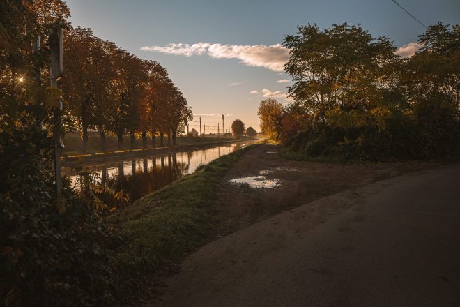 Matin d'Automne