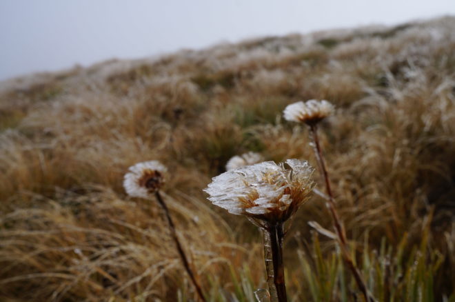 Givre