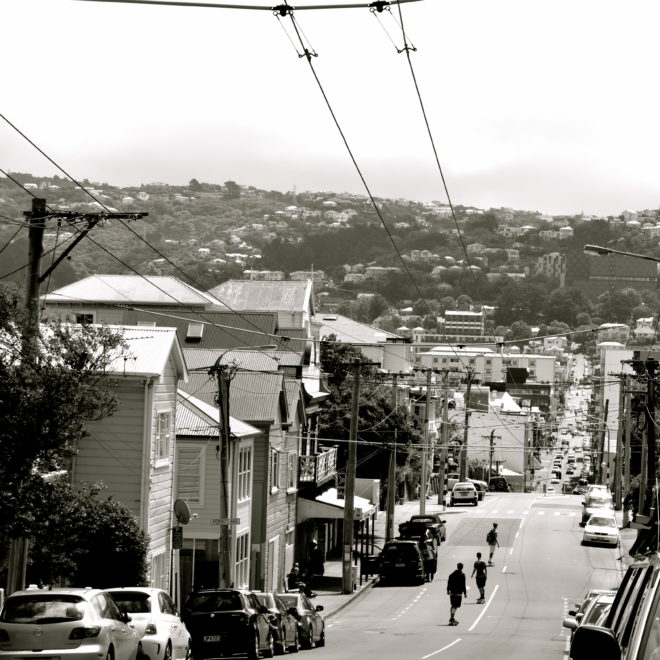 Les skateurs de Wellington