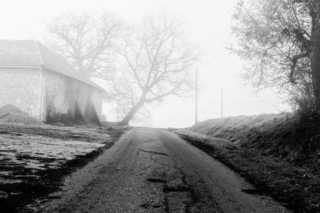 Le chemin se construit en marchant #8