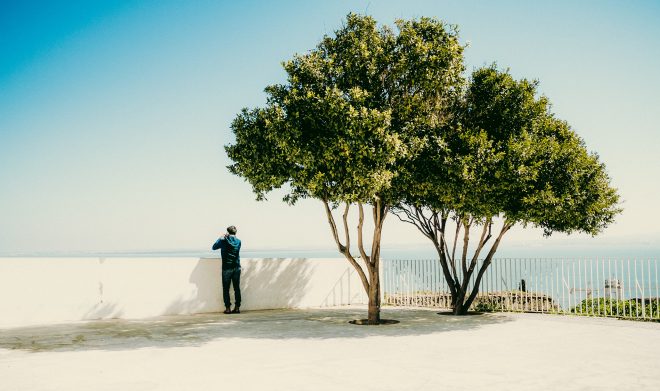 Under the tree