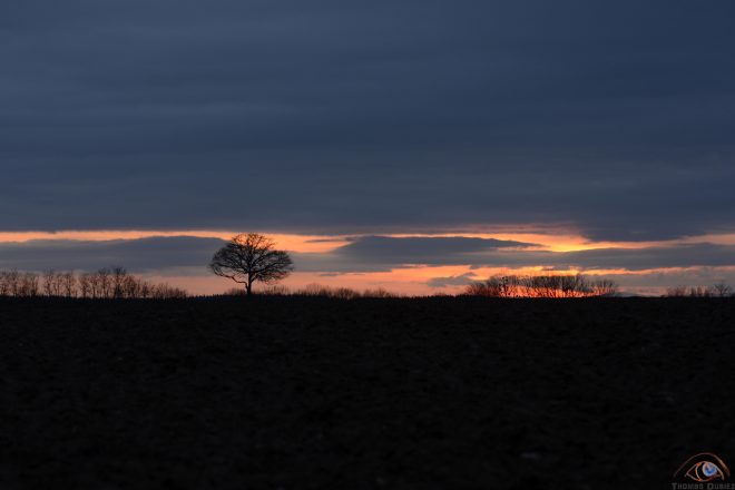 Burning landscape