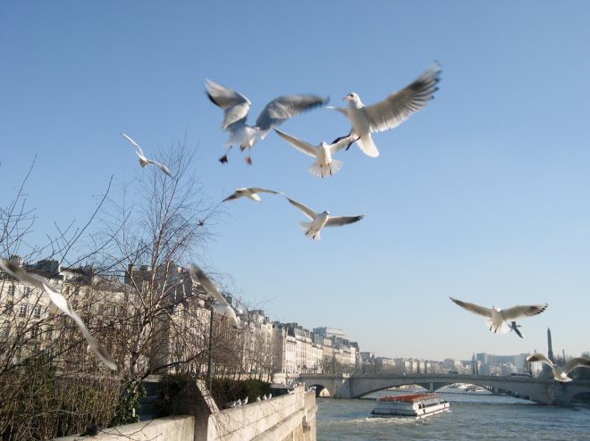 Au dessus de la Seine