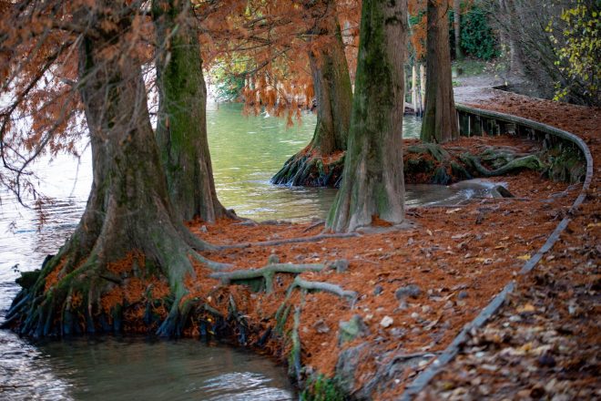 Bords de Marne