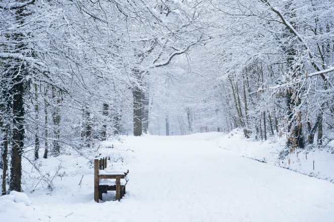 Banc sous la neige