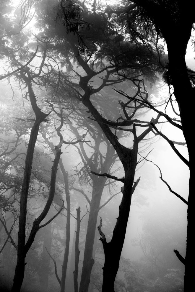 Brume de Sintra