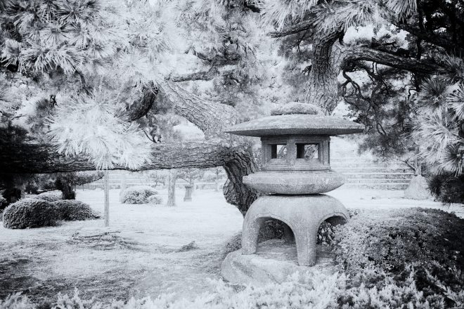 Jardin japonais