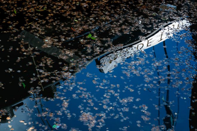 Reflet d'Amsterdam