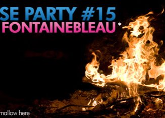 lense-party-17_fontainebleau_moyenne.jpg