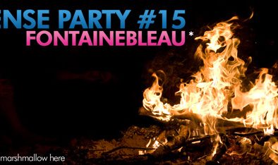 lense-party-17_fontainebleau_moyenne.jpg